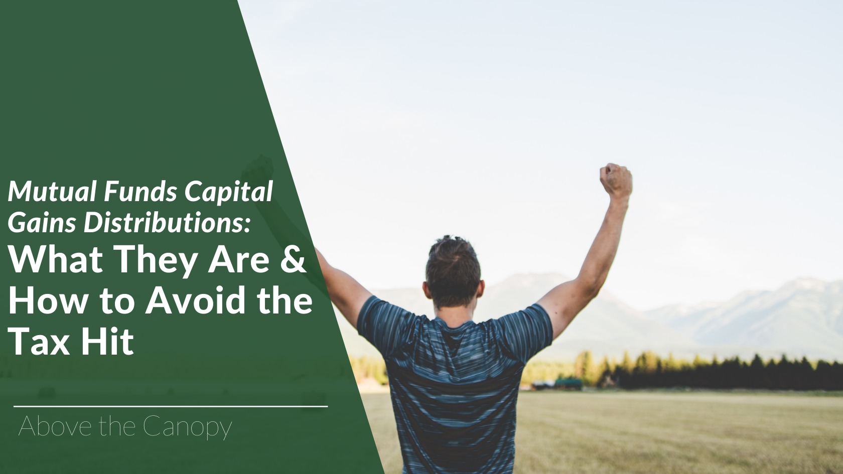 Mutual Funds Capital Gains Distributions: What They Are & How To Avoid The Tax Hit