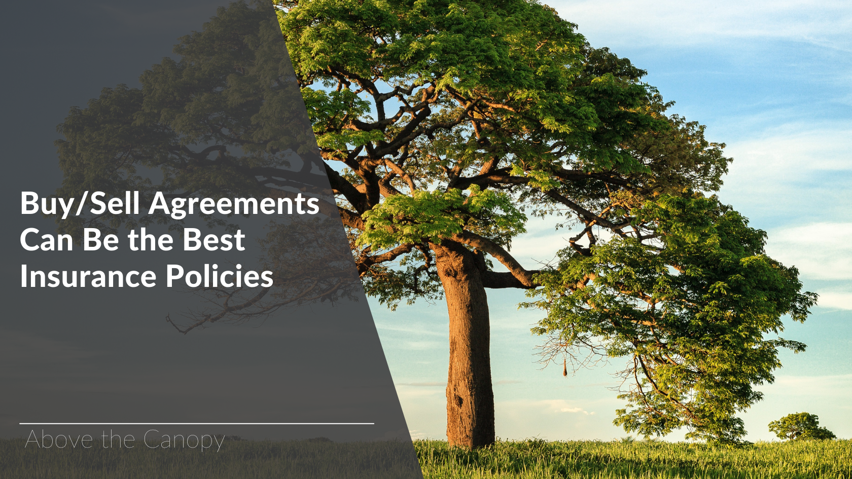 Buy/sell Agreements Make The Best Insurance Policies